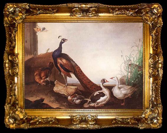 framed  Jakob Bogdani Peacock with Geese and Hen, ta009-2